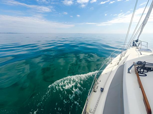 How Corporate Boat Tours Strengthen Teams and Professional Bonds Sail Away with Synergy